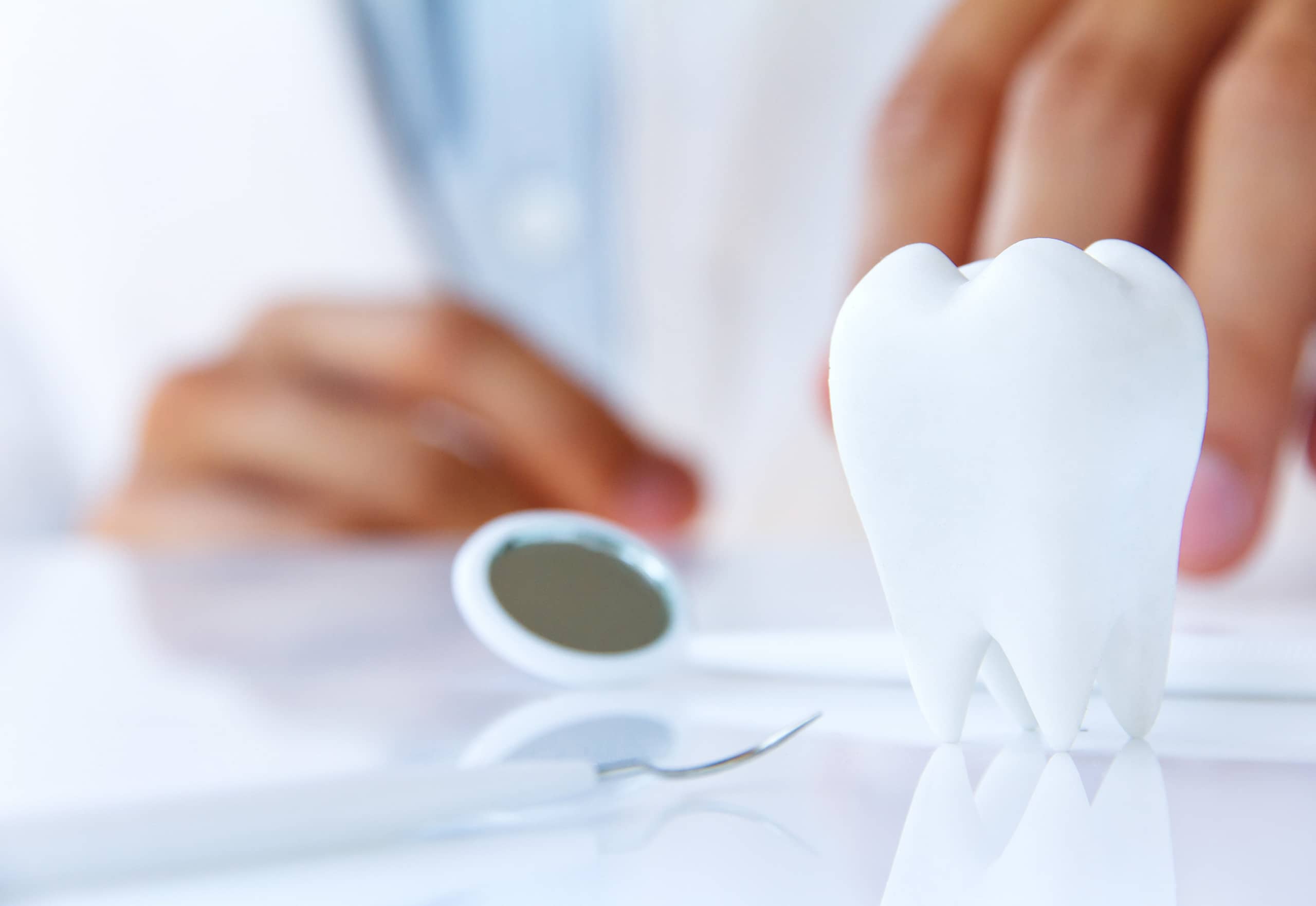 Root Canal Therapy in SW Calgary